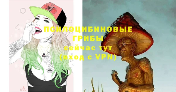 ГАЛЛЮЦИНОГЕННЫЕ ГРИБЫ Абдулино