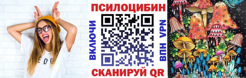 мега ТОР  Луга  Псилоцибиновые грибы мицелий 